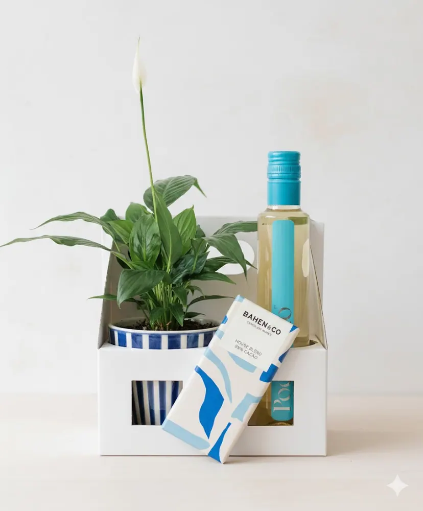 Potted Welcome - Small